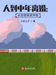 人到中年离婚:从庄园系统开始