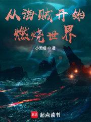 从海贼开始燃烧世界